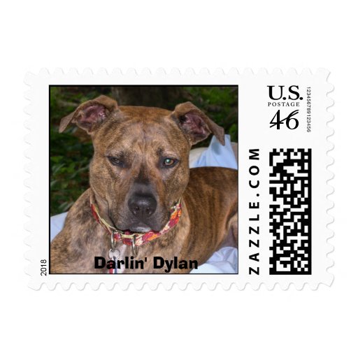 Darlin' Dylan Stamps