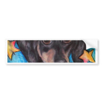 Darling Dachshund Bumper Sticker