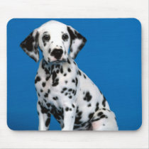 Darling Dog Photos Cards, Gifts - Customize mousepads