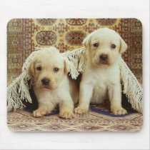 Darling Dog Photos Cards, Gifts - Customize mousepads