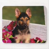Darling Dog Photos Cards, Gifts - Customize mousepads