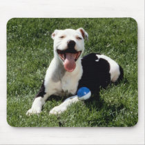 Darling Dog Photos Cards, Gifts - Customize mousepads