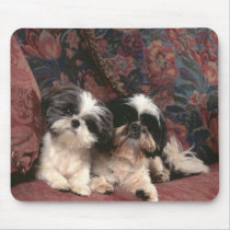 Darling Dog Photos Cards, Gifts - Customize mousepads