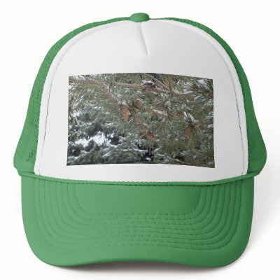 Darling Winter Pine Tree/Pine Cones Hat by pammys