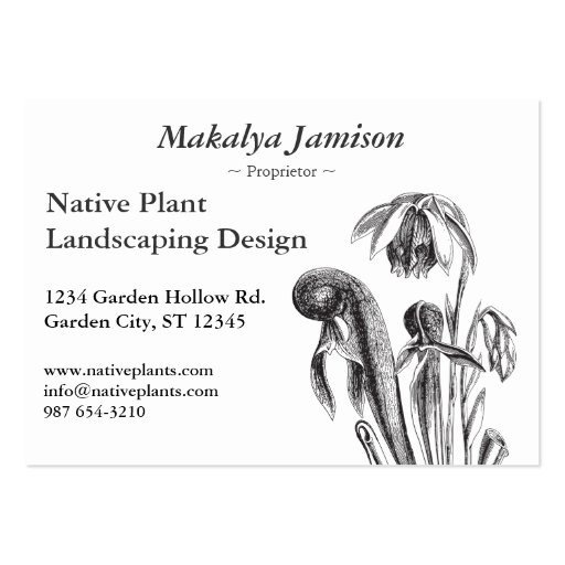 Darlingtonia californica, Carnivorous Plant Business Card