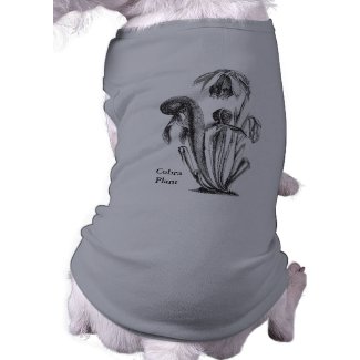 Darlingtonia californica, Carnivorous Plant petshirt