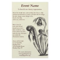 Darlingtonia californica, Carnivorous Plant Flyers