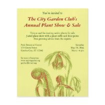 Darlingtonia californica, Carnivorous Plant Full Color Flyer