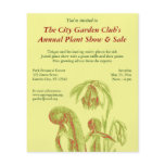 Darlingtonia californica, Carnivorous Plant flyers