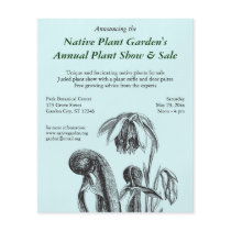 Darlingtonia californica, Carnivorous Plant Personalized Flyer