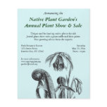 Darlingtonia californica, Carnivorous Plant flyers