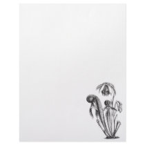 Darlingtonia californica, Carnivorous Plant letterhead by BotanicalArt Darlingtonia californica, Carnivorous Plant letterhead