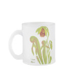Darlingtonia californica, Carnivorous Plant mugs