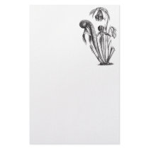 Darlingtonia californica, Carnivorous Plant stationery by BotanicalArt Darlingtonia californica, Carnivorous Plant stationery