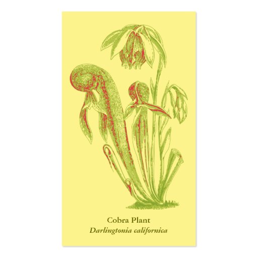 Darlingtonia californica Floral Business Card (back side)