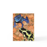 Dart Frogs Note Card