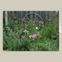 Darthia Farm cards