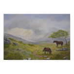 Dartmoor National Park Devon UK posters