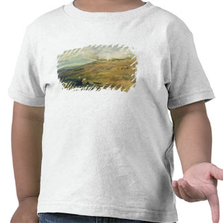 dartmoor t shirt