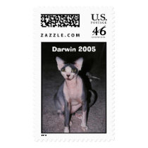 Darwin 2005 postage by sskline Darwin 2005 postage