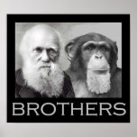 Darwin and Chimp Brothers Print