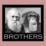 Darwin and Chimp Brothers posters