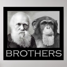 Darwin and Chimp Brothers Print