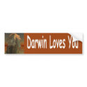 Darwin bumper stickers by exileguy Darwin bumper stickers