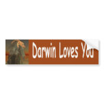 Darwin Bumper Sticker