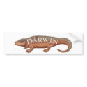 Darwin Evolution Tetrapod bumper stickers by MEGladney Darwin Evolution Tetrapod bumper stickers