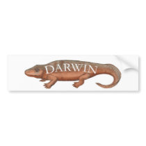 Darwin Evolution Tetrapod bumper stickers by MEGladney Darwin Evolution Tetrapod bumper stickers