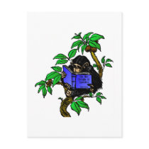 Darwin Fan Post Cards
