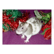 Darwin in the tinsel cards