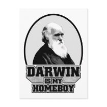 Darwin Is My Homeboy Postcards