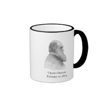 Darwin Mug