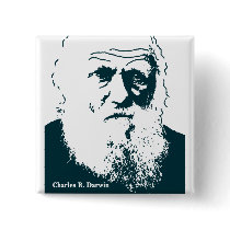 Darwin Picture. Button