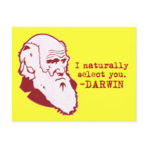 Darwin postcards by jamierushad Darwin postcards