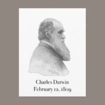 Darwin Postcard