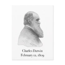 Darwin Postcard by CartesianBear Darwin Postcard