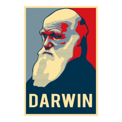 Darwin Poster by darwin2009