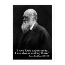 Darwin Quote ~ I Love Fools Experiments ... Postcard