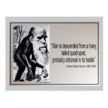 Darwin Quote ~ Man is Descended From a Hairy Post Cards