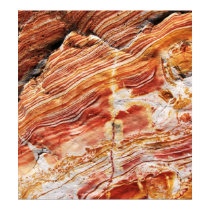 Darwin Rock Art posters