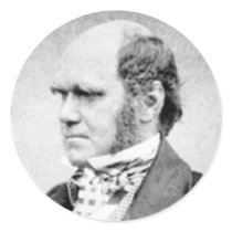 Darwin sticker