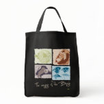 Darwin, The Voyage of the Beagle. Bag