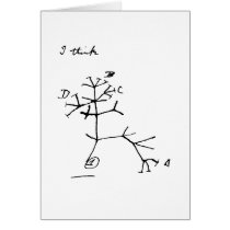 Darwin Tree cards by mattincinci Darwin Tree cards