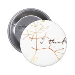Darwin tree of life: I think 2 Inch Round Button