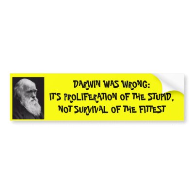 Darwin was wrong bumper sticker by ntleper