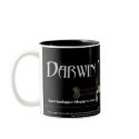 Darwin's Dagger Mug