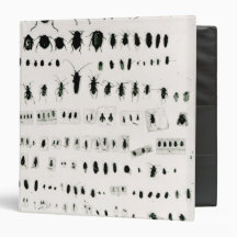 Darwin's insect collection vinyl binder